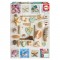 Puzzle 1000 Colagem de Conchas