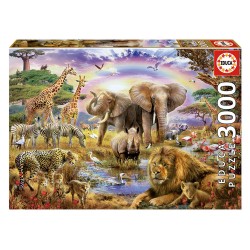 Puzzle 3000 Charco Bajo Arco Iris Puzzle 3000 Charco Bajo Arco Iris