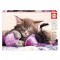 Puzzle 500 Compañeros de Sueños